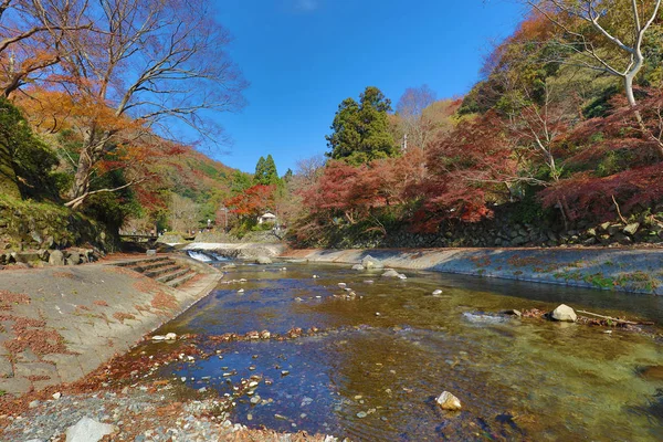 A visão da natureza de Kamitakano Higashiyama no outono — Fotografia de Stock
