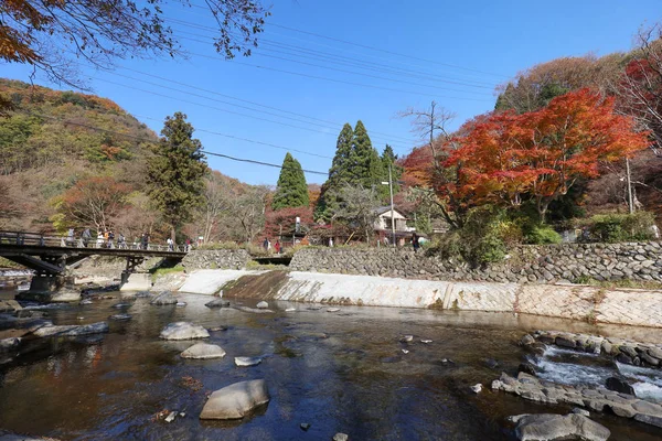 Pemandangan alam Kamitakano Higashiyama saat musim gugur — Stok Foto