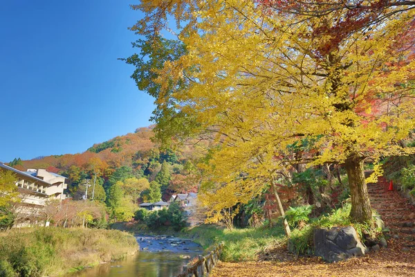 The nature view of Kamitakano Higashiyama at fall — Stock Photo, Image