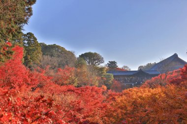 Tofuku ji Temple in Kyoto at autumn