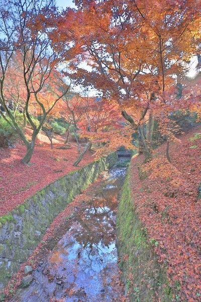 O rio no Templo de Tofuku ji em Kyoto — Fotografia de Stock