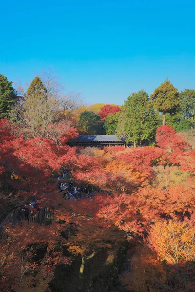 Tofuku ji Temple in Kyoto at fal season — Stock Photo, Image