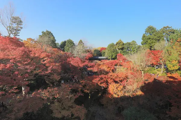 Outono em Templo de Tofuku ji em Kyoto — Fotografia de Stock