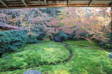 Sonbahar Bahçe Rurikoin Tapınağı, kyoto, Japonya