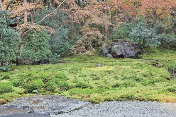 Jardim de outono de templo de Rurikoin, kyoto, japão — Fotografia de Stock