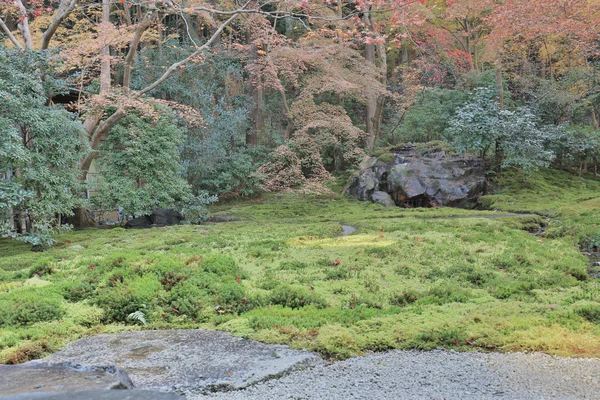 Podzimní zahrada Rurikoin temple, Kjóto, Japonsko — Stock fotografie