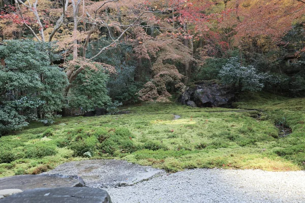 Herbstgarten des Rurikoin-Tempels, Kyoto, Japan — Stockfoto