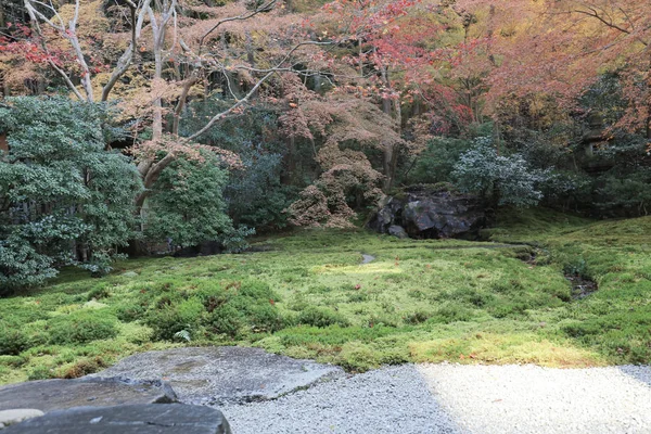 Jardín de otoño del templo de Rurikoin, kyoto, japón — Foto de Stock
