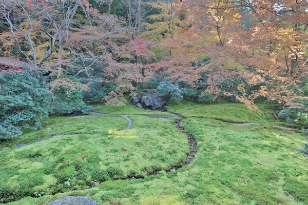 日本京都 Rurikoin 寺秋季花园 — 图库照片