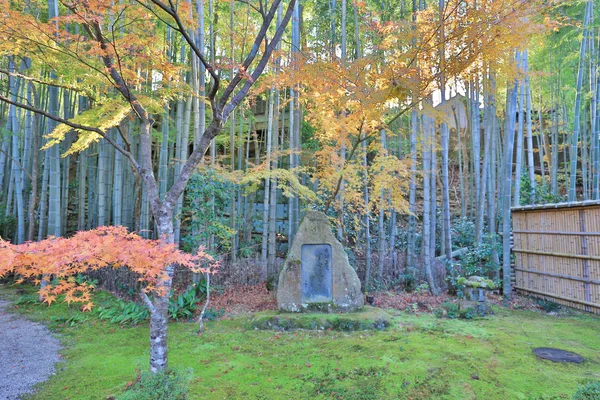 京都 Zuiganzan Enkouji 寺花园 — 图库照片