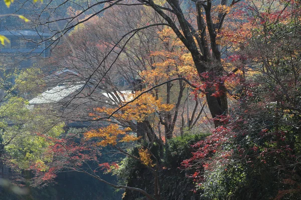 Yase Hieizan Guchi doğa görünümü — Stok fotoğraf