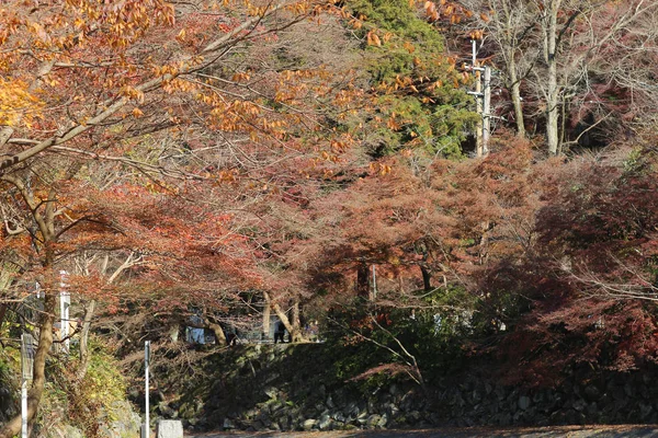 八瀬比叡山口の自然の風景 — ストック写真