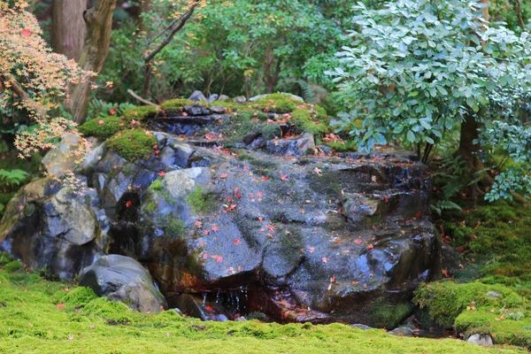 Rurikou, 京都, 日本旅游 — 图库照片