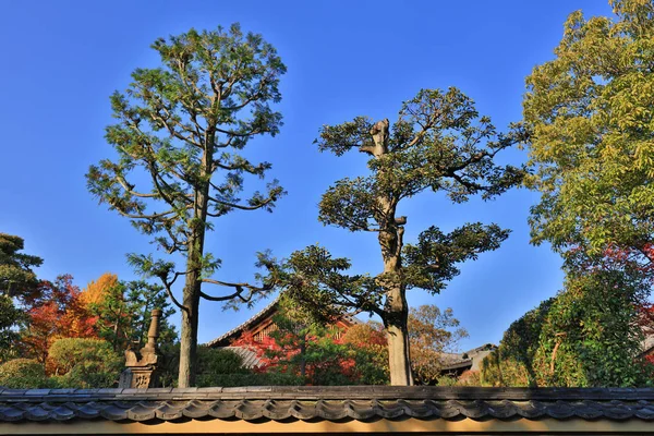 The morning sunlight Tofuku ji Temple in Kyoto — Stock Photo, Image