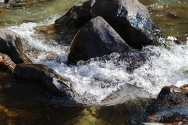 Yase Hieizan Guchi doğa görünümü 