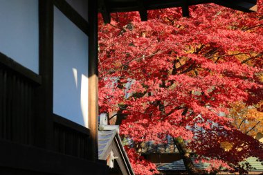 Monzeki kyoto Japonya, içinde bir Manshu 