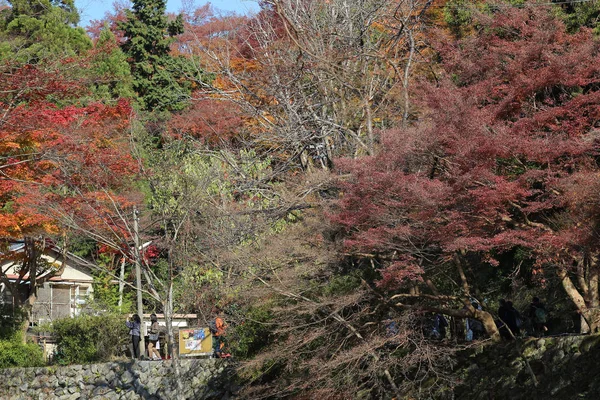 Autunno vista natura di Yase Hieizan Guchi — Foto Stock