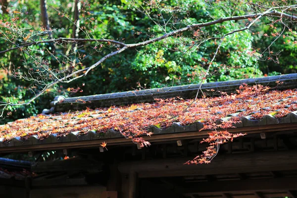 La stagione autunnale a Rurikou a Temple, Kyoto — Foto Stock