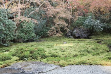Sonbahar Bahçe Rurikoin Tapınağı, kyoto, Japonya
