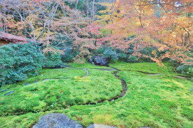 Sonbahar Bahçe Rurikoin Tapınağı, kyoto, Japonya