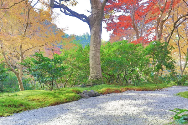 Giardino autunnale del tempio Rurikoin, Kyoto, Giappone — Foto Stock