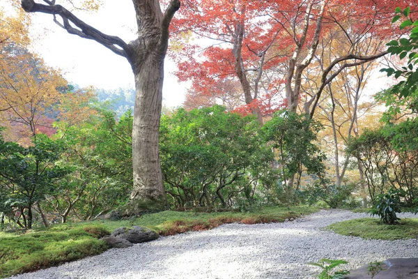 秋の庭の Rurikoin 寺、京都、日本 — ストック写真