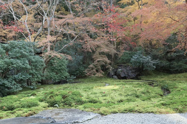Autumn garden of Rurikoin temple, kyoto, japan — Stock Photo, Image