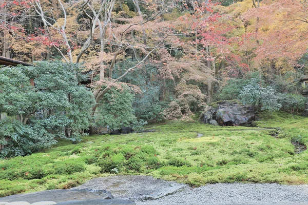 Autumn garden of Rurikoin temple, kyoto, japan — Stock Photo, Image