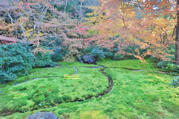 Jardín de otoño del templo de Rurikoin, kyoto, japón — Foto de Stock