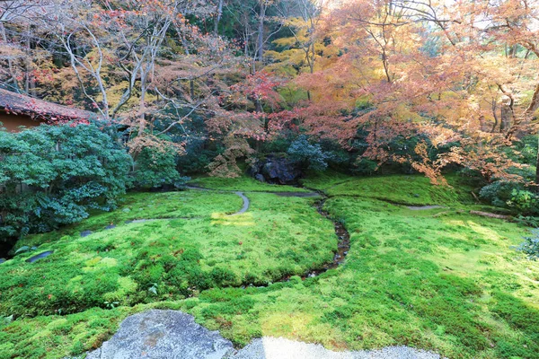 Jardín de otoño del templo de Rurikoin, kyoto, japón — Foto de Stock