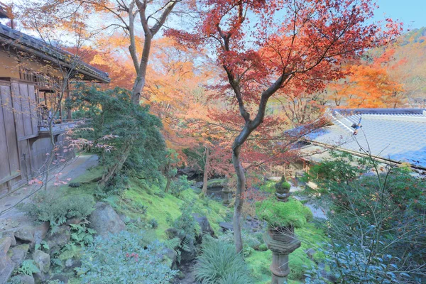 Giardino autunnale del tempio Rurikoin, Kyoto, Giappone — Foto Stock