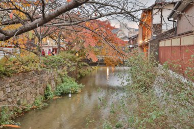 sonbahar gece manzaraya, Gion Shirakawa