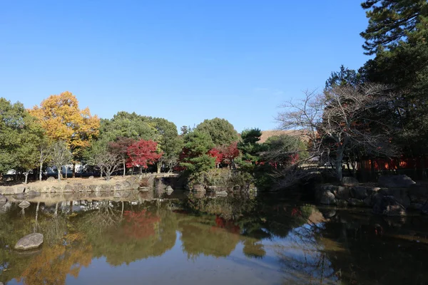 Parco di Nara in autunno a Nara japan — Foto Stock