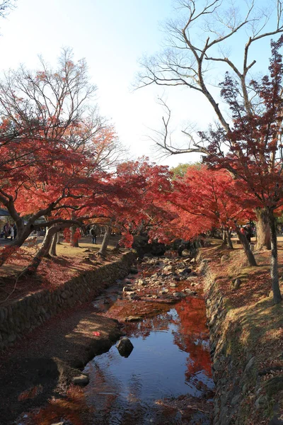 Nara Park na podzim v Nara Japonsko — Stock fotografie