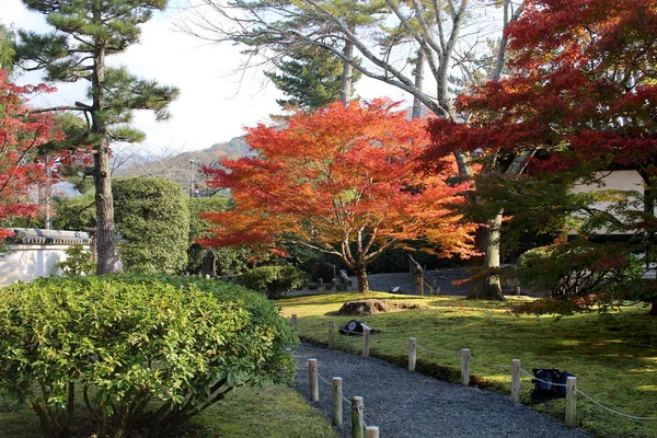 A fall season at Byodo In Temple japan — Stock Photo, Image