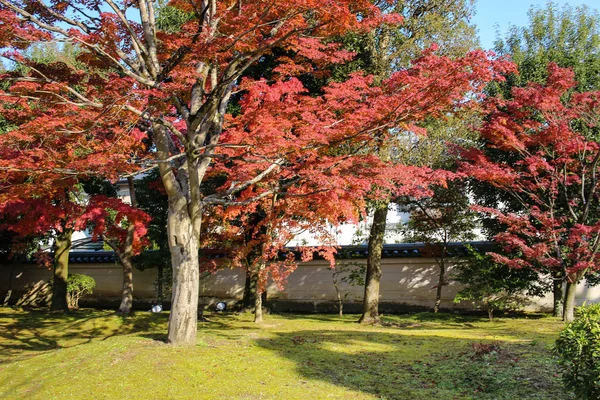 Une saison d'automne à Byodo In Temple japon — Photo