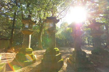 Antik taş fenerler satırlarının yosun kaplı