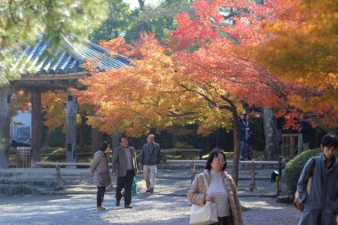 Kyoto, Japonya Byodo içinde tapınak ziyaretçi.