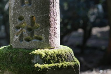 eski bir taş anterns yosun kaplı. Nara, Japonya