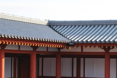 Genjo Sanzoin Garan Yakushi Ji çatısı 