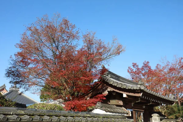 Autumn in Tofuku ji Temple in Kyoto — Stock Photo, Image