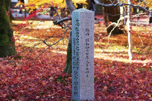 日本で東福寺の紅葉 — ストック写真