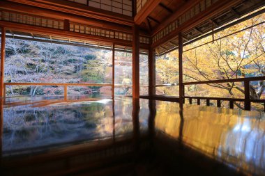 Yaprak içinde renkli boyalı. Yuriko, Kyoto, Japonya,