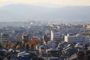 akçaağaç Zuiganzan Enkouji renkli sonbahar yaprakları 