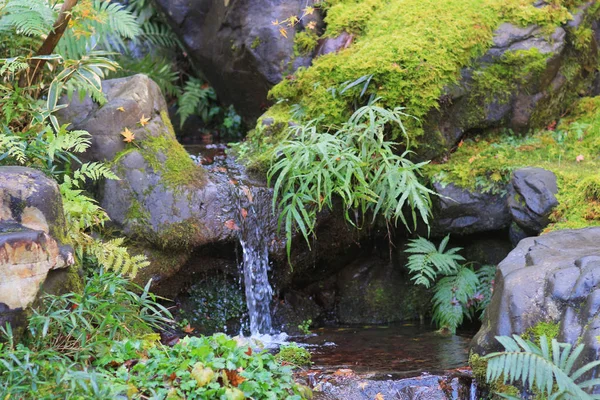 The garden of Manshu at Kyoto, Japan — Stock Photo, Image