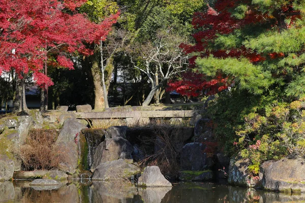 日本の広島中央公園にラーベス秋 — ストック写真