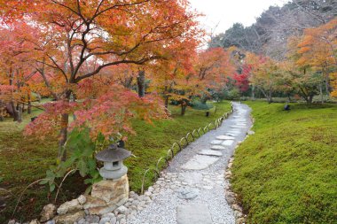 Seiryuden Japon eski Tapınağı'nda bir Bahçe 