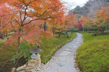 Seiryuden Japon eski Tapınağı'nda bir Bahçe 