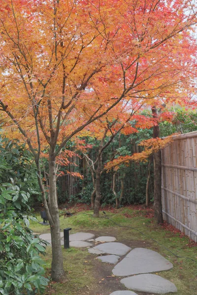 Un jardín en el antiguo templo japonés de Seiryuden — Foto de Stock