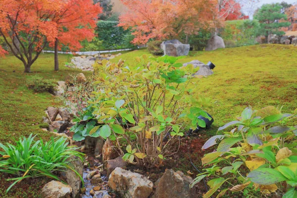 Ein Garten bei seiryuden japanischem alten Tempel — Stockfoto